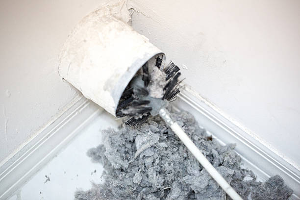 Best Home Air Vent Cleaning  in Ridge Wood Heights, FL